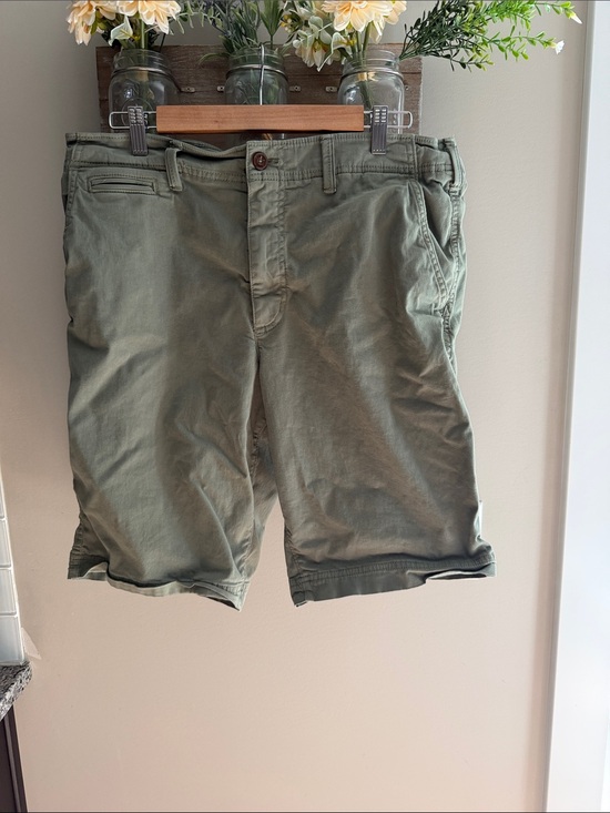 American Eagle Outfitters Other - American Eagle Outfitters Olive Flat-Front Casual Shorts